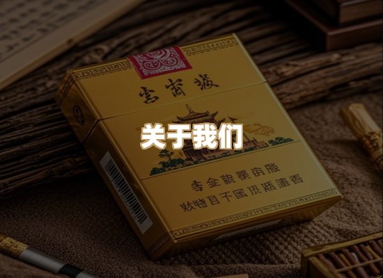 关于云歌烟网